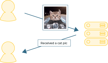 A server receiving, and acknowledging a cat picture.